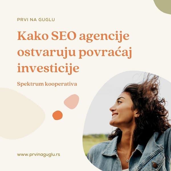 kako seo agencije ostvaruju povracaj investicije